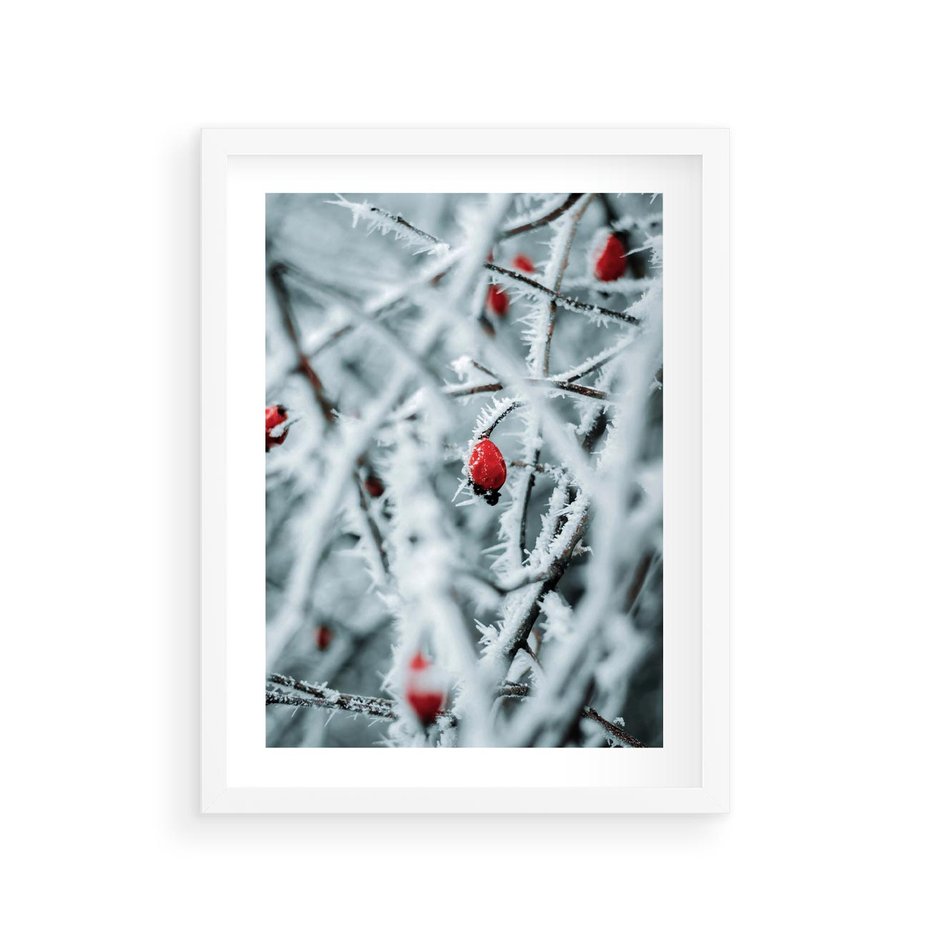 Plakat w ramie 30x40 - Zima na Gałęziach - zima, oszronione gałęzie - rama biała