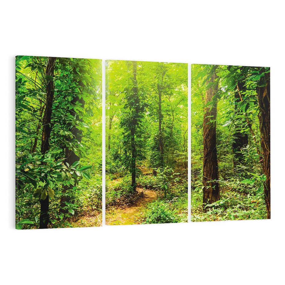 Obraz na płótnie 120x80 - Współistnienie z naturą - drzewa, las