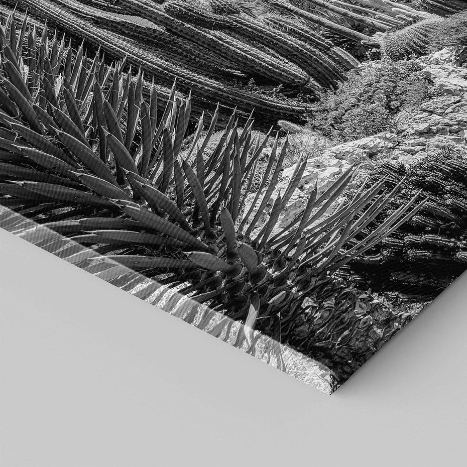 Obraz na płótnie 50x70 - Pustynny Klimat - czarno białe zdjecie, pustynia