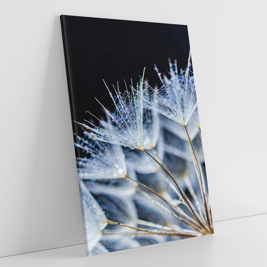 Obraz na płótnie 50x70 - Makro piękno dmuchawców - makro, dmuchawce