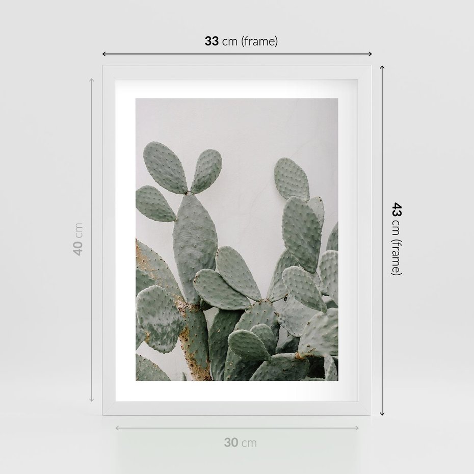 Plakat w ramie 30x40 - Imponujący Kaktus - duży kaktus, opuncja - rama biała