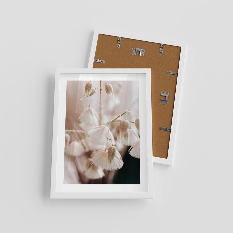 Plakat w ramie 30x40 - Suszona Delikatność - suszone kwiaty, rośliny - rama biała