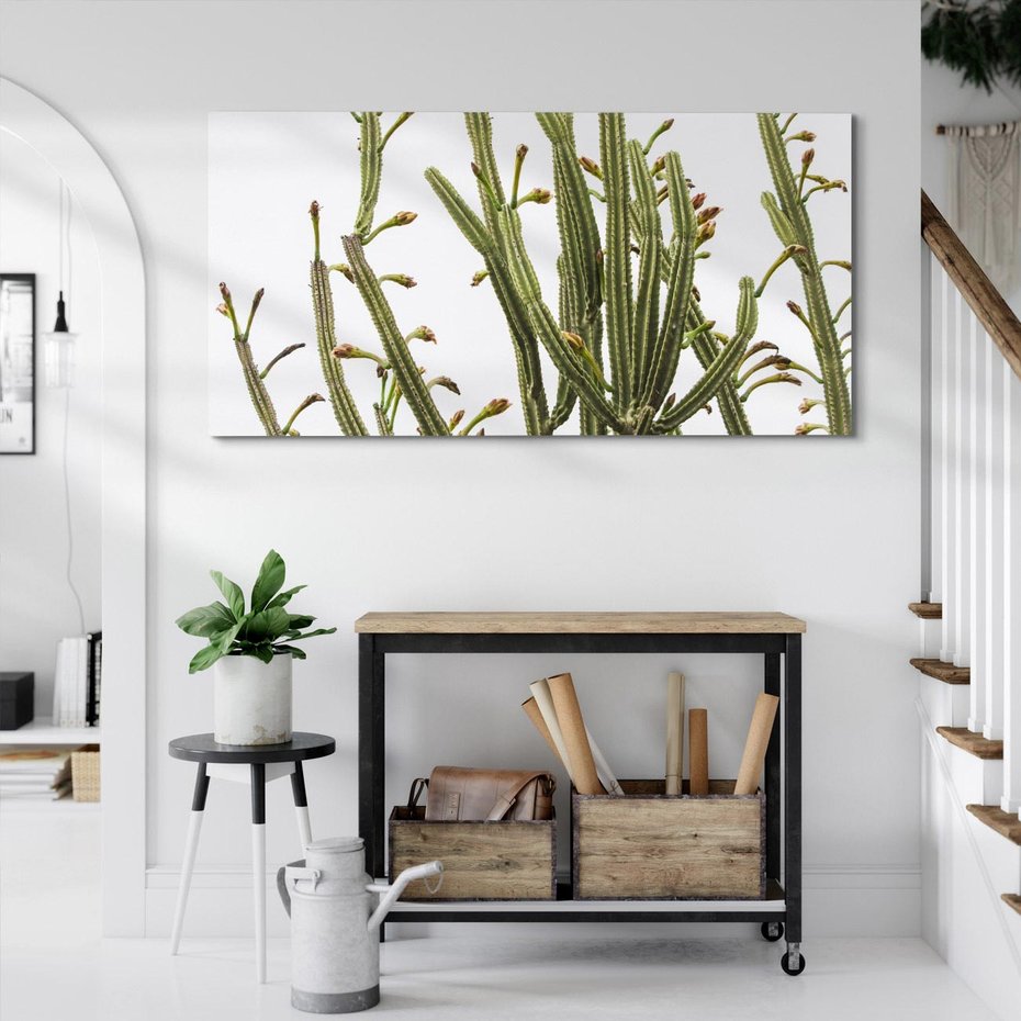Obraz na płótnie 120x60 - Ekskluzywna Roślinność - kaktusy, liście