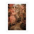 Plakat bez ramy 40x50 - Obraz przedstawia jesienne drzewa i czerwone liście na ścieżce w lesie. Ta sceneria doskonale oddaje urok i kolorystykę jesieni w lesie. - las, jesień