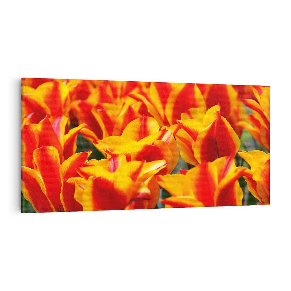 Obraz na płótnie 120x60 - Kwiatowa natura - kwiat, kwiaty