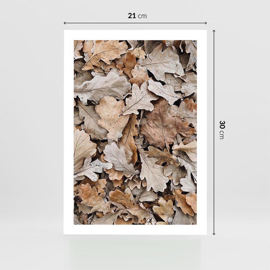 Plakat bez ramy 21x30 - Nostalgiczny Pejzaż - suche liście, jesień