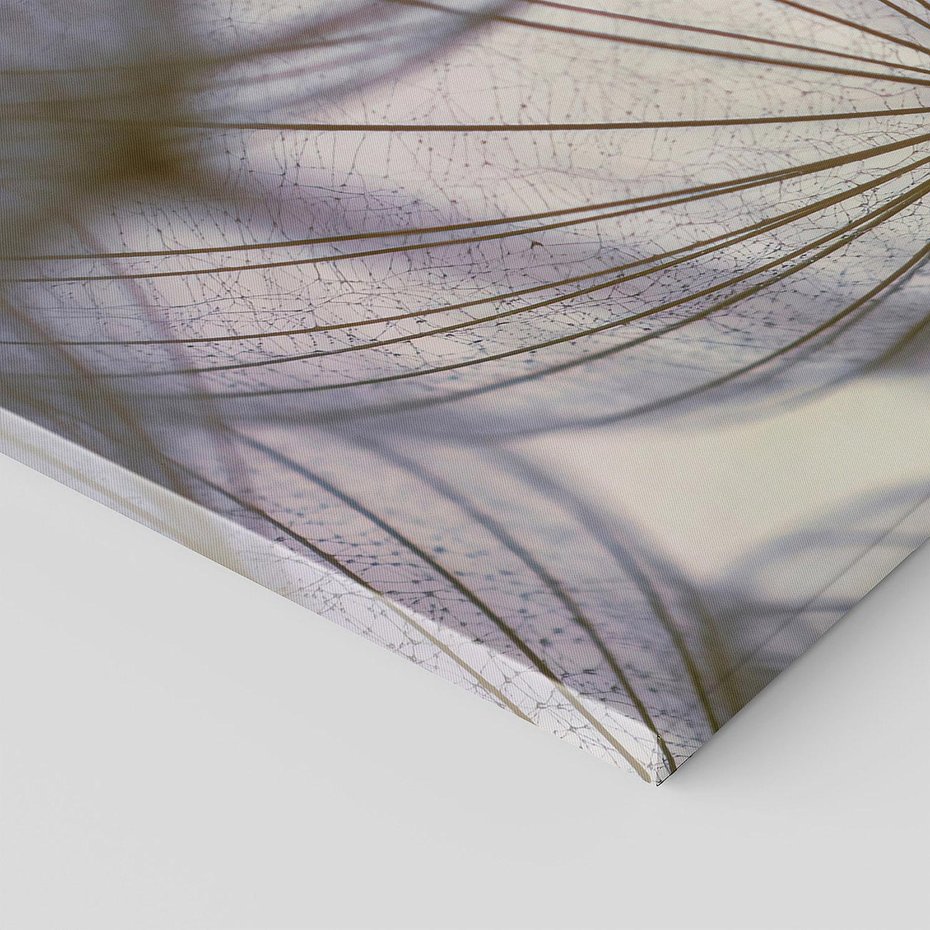 Obraz na płótnie 150x50 - Makro dmuchawiec - piękno drobnych detali - dmuchawce, makro