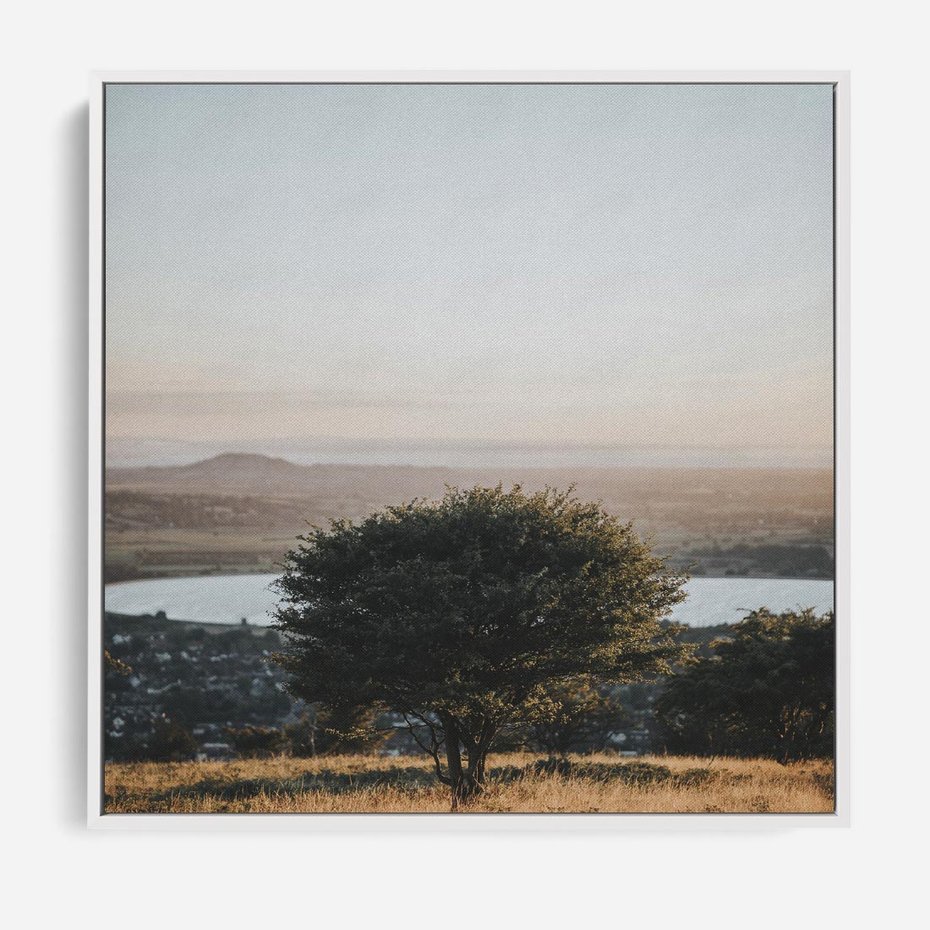 Obraz w ramie 50x50 - Siła Natury - drzewo, pejzaż - rama biała