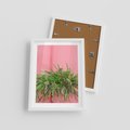Plakat w ramie 30x40 - Fotografia Rośliny z Różowym Tłem - fotografia, zielona roślina na tle różwj ściany - rama biała