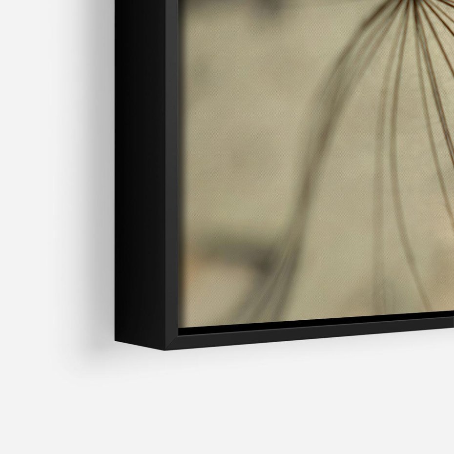 Obraz w ramie 50x50 - Delikatność dmuchawców - dmuchawce, krople - rama czarna