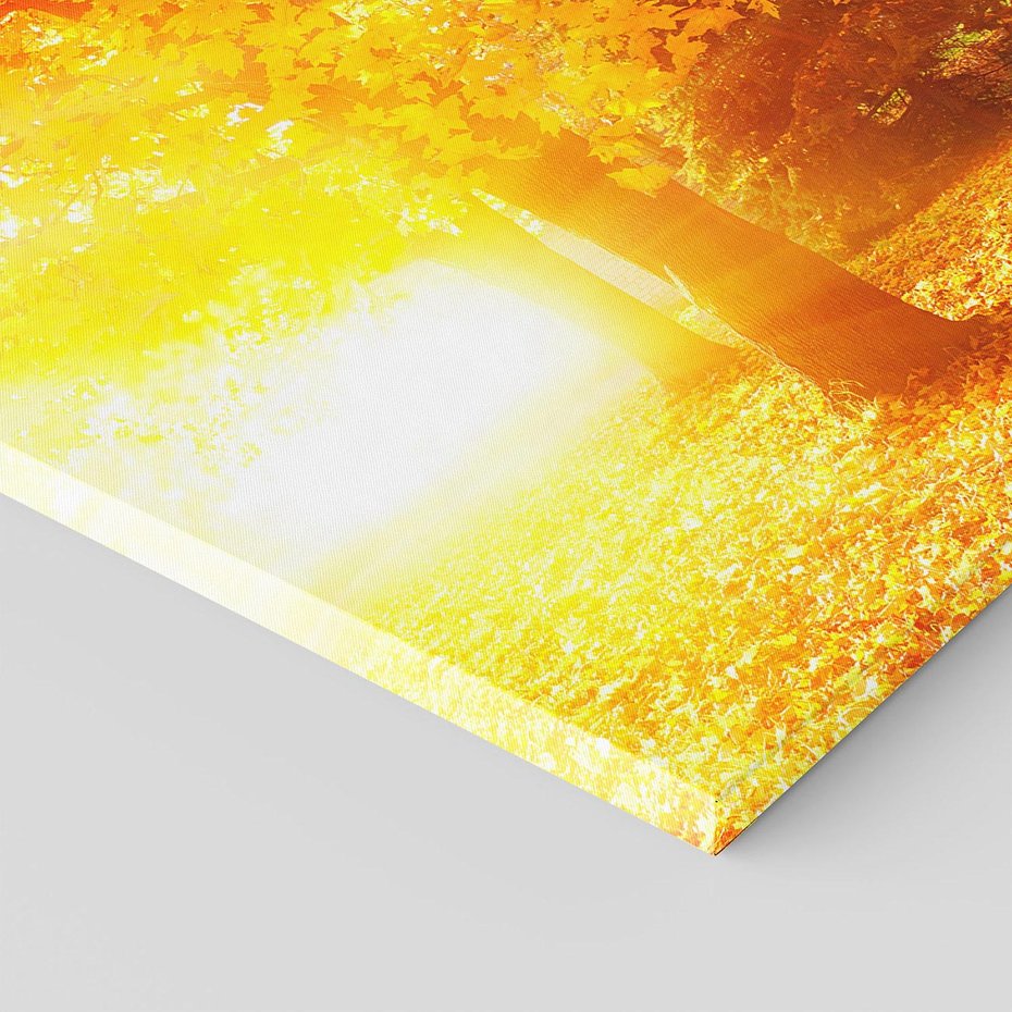 Obraz na płótnie 120x80 - Magia jesiennego lasu - las, drzewa