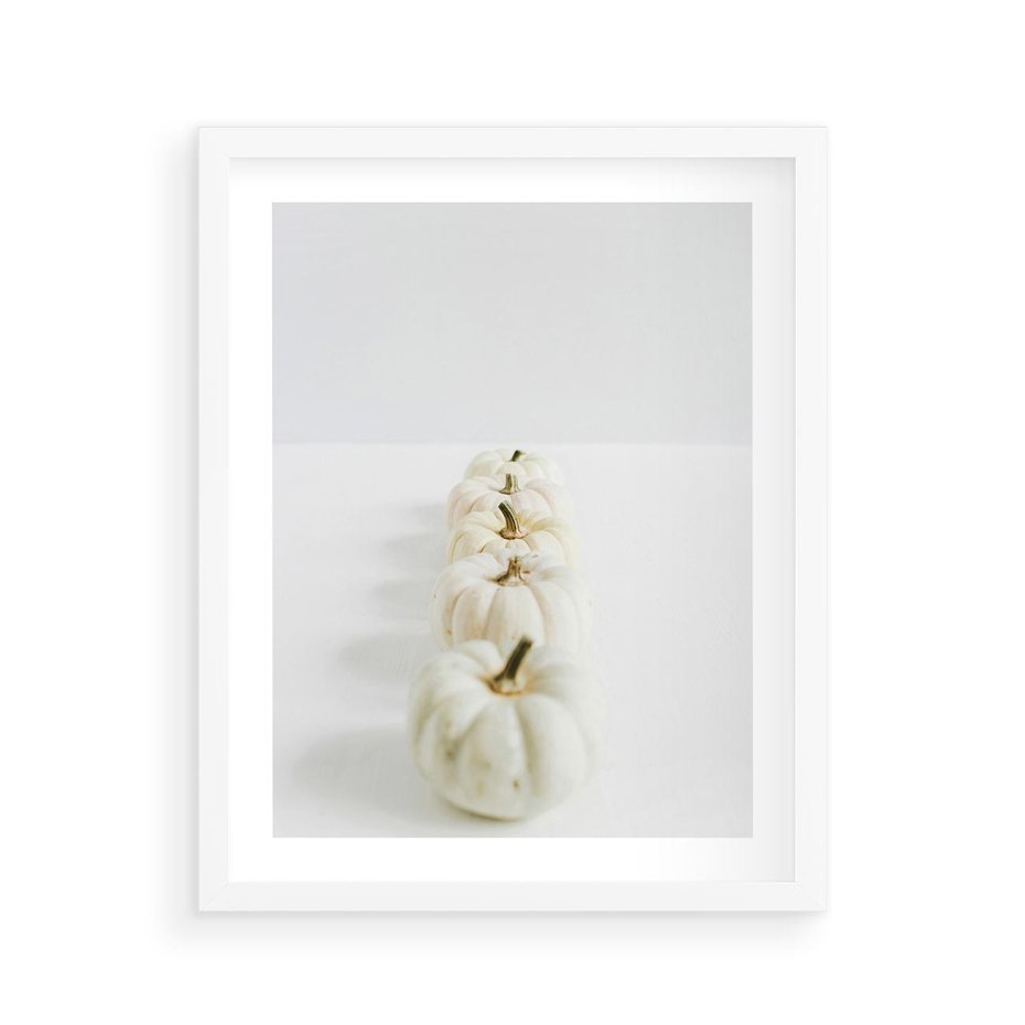 Plakat w ramie 40x50 - Białe Dynie - białe dynie, jesień - rama biała