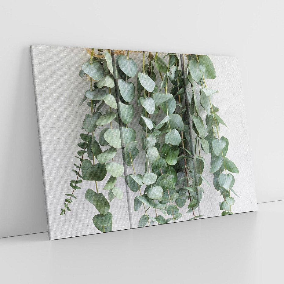 Obraz na płótnie 120x80 - Uwodzicielska zieleń eukaliptusa - eukaliptus, zielone