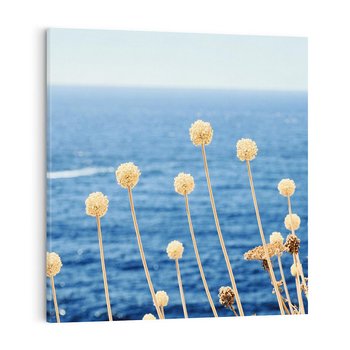 Obraz na płótnie 70x70 - Kontrasty Natury - fotografia, pierwszy plan sucha roślinność