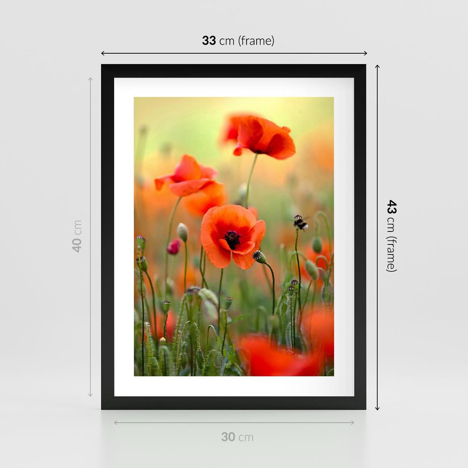 Plakat w ramie 30x40 - Makowa Pasja - maki, kwiaty - rama czarna