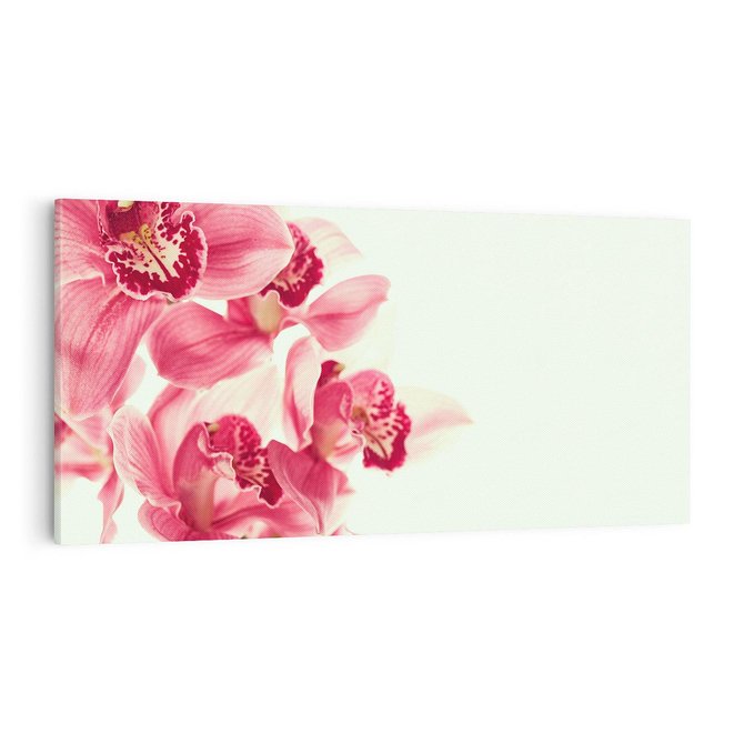 Obraz na płótnie 100x50 - Orchidea - delikatne kwiaty - orchidea, kwiaty