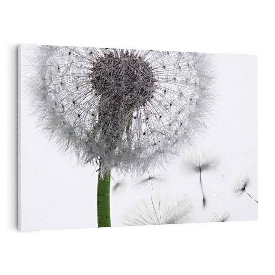 Obraz na płótnie 100x70 - Lekkość Przemijania - dmuchawiec, makro
