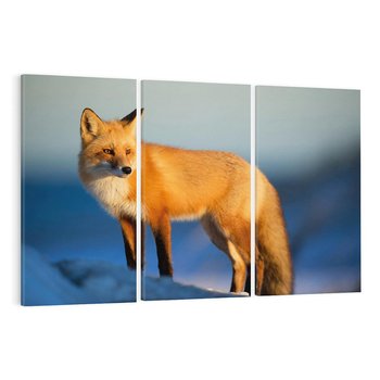 Obraz na płótnie 120x80 - Lisek w lesie - lis, lisek