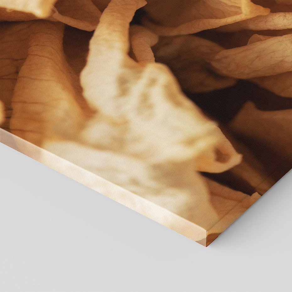 Obraz na płótnie 120x80 - Zjawiskowe zasuszone kwiaty - zasuszone, kwiaty