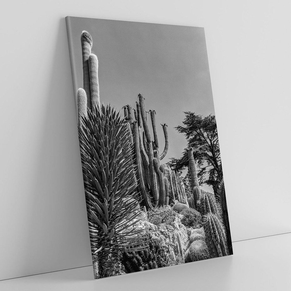 Obraz na płótnie 70x100 - Pustynny Klimat - czarno białe zdjecie, pustynia