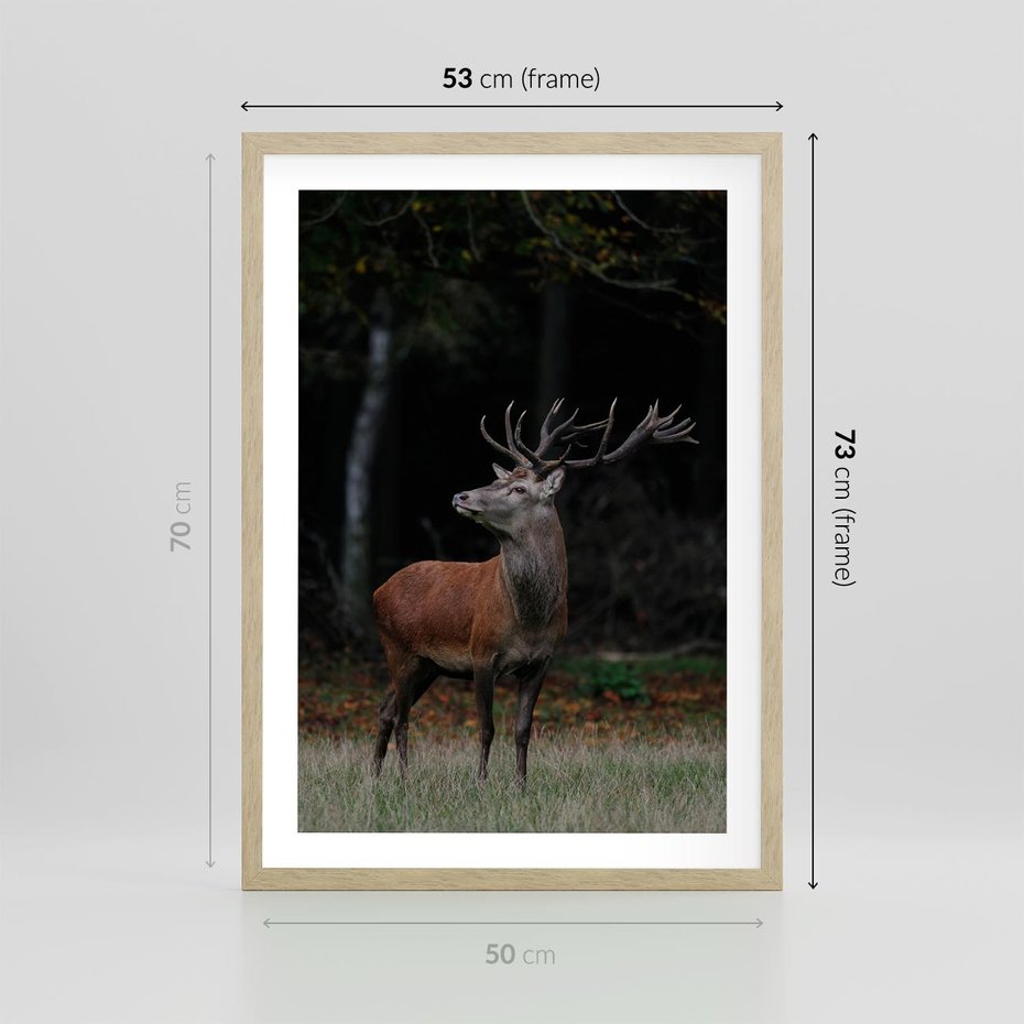 Plakat w ramie 50x70 - Spotkanie z naturą - jeleń, las - rama drewno