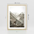 Plakat w ramie 30x40 - Dzikie Piękno: Kozica w Malowniczym Górskim Scenerii - kozica, góry - rama drewno