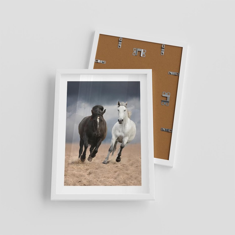 Plakat w ramie 30x40 - Siła koni w galopie - konie, galop - rama biała