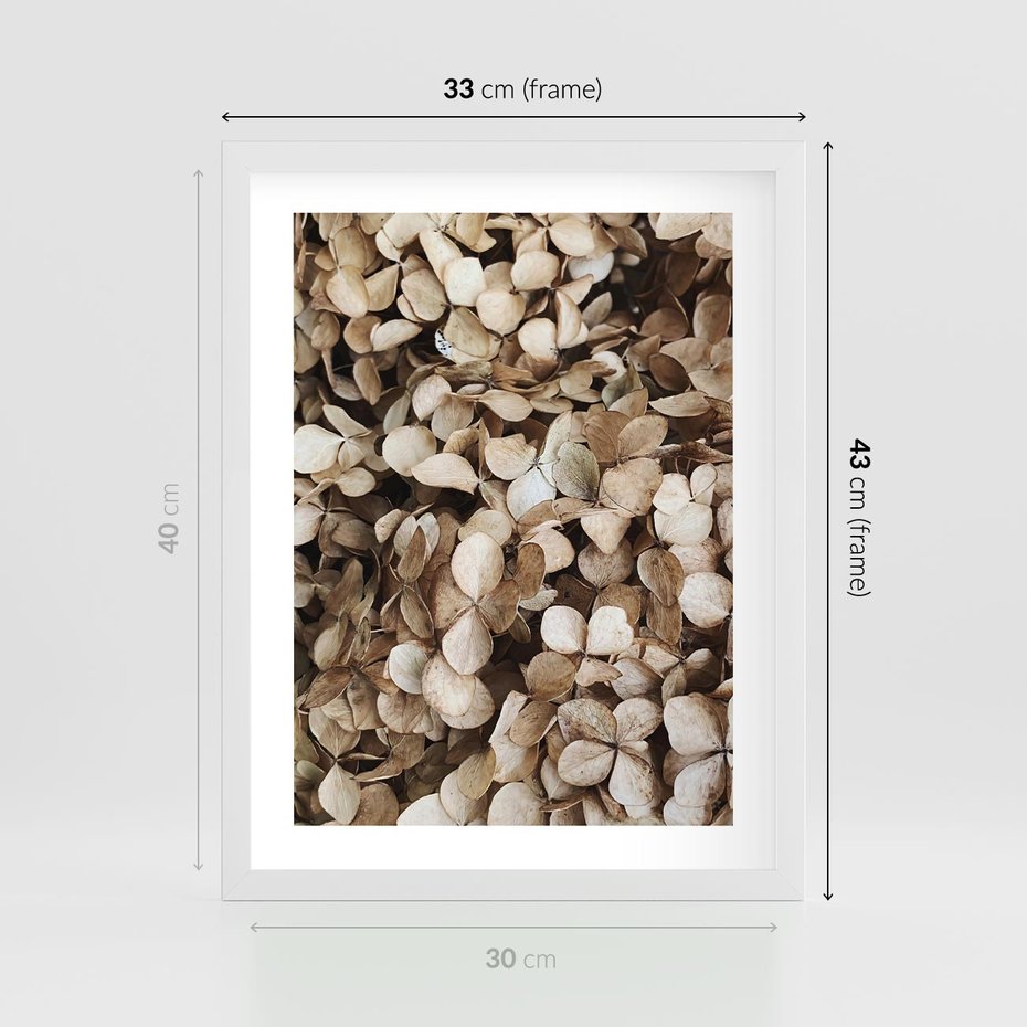 Plakat w ramie 30x40 - Delikatność Hortensji: Kompozycja Kwiatów w Beżu - hortensja, odcienie beżu - rama biała