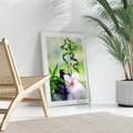 Plakat bez ramy 30x40 - Spa pełne kwiatów i relaksu - spa, kwiat