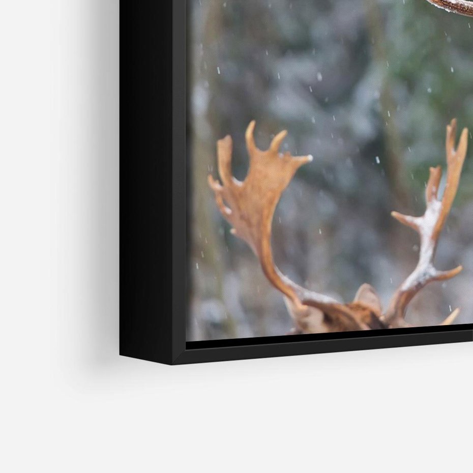Obraz w ramie 70x50 - Monarcha Zimowej Dziczy - jeleń, zima - rama czarna