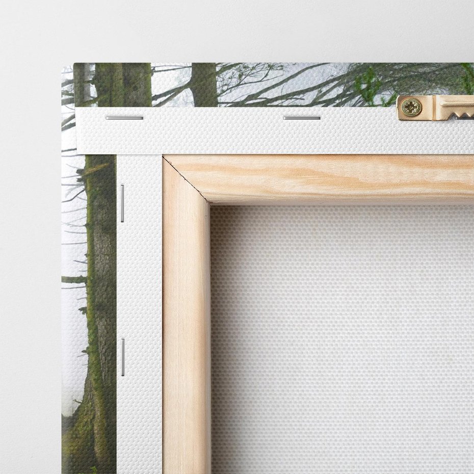 Obraz na płótnie 70x50 - Drzewa w harmonii - las, drzewa