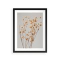 Plakat w ramie 30x40 - Delikatne gipsówki - gipsówka, suche - rama czarna