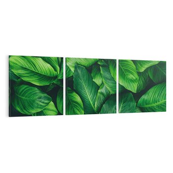 Obraz na płótnie 120x40 - Palma Liście Kwiat - palma, liście