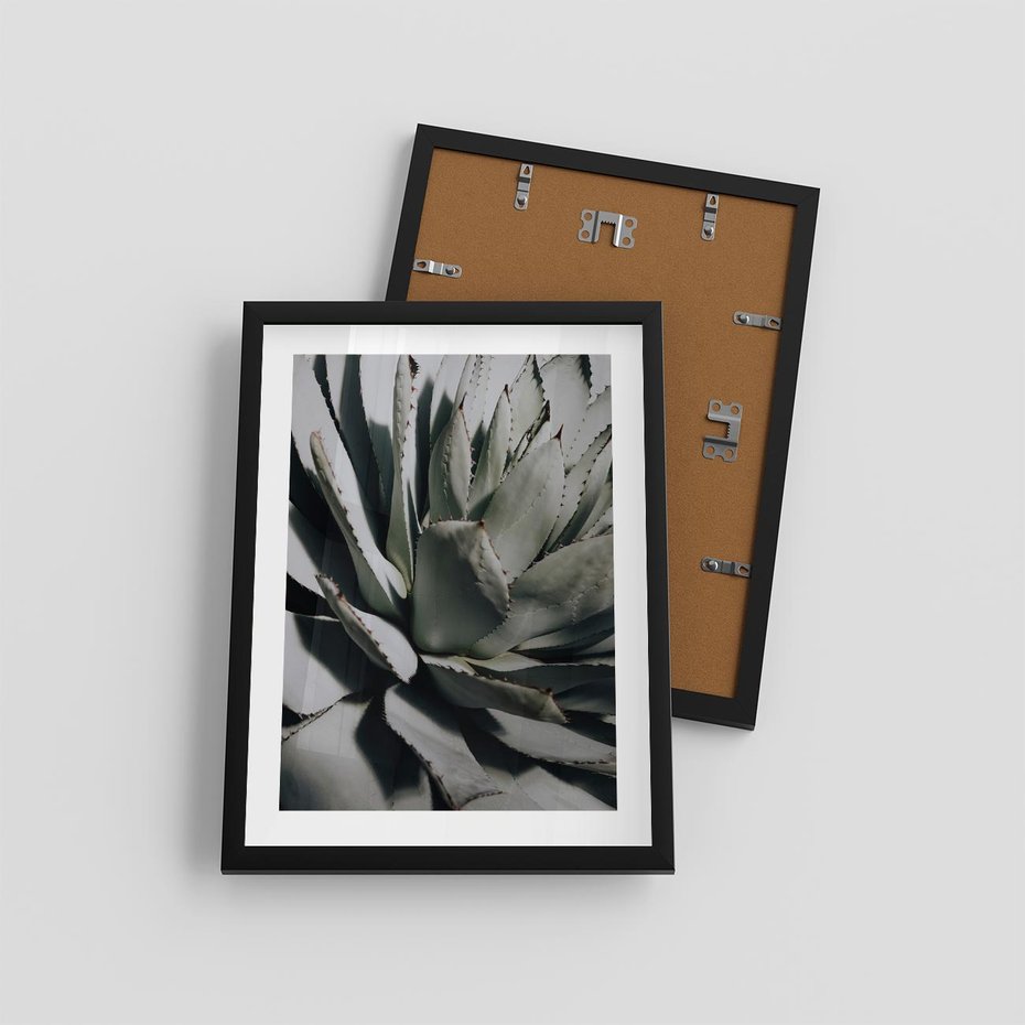 Plakat w ramie 30x40 - Sukulenty wśród kaktusów - sukulenty, kaktusy - rama czarna