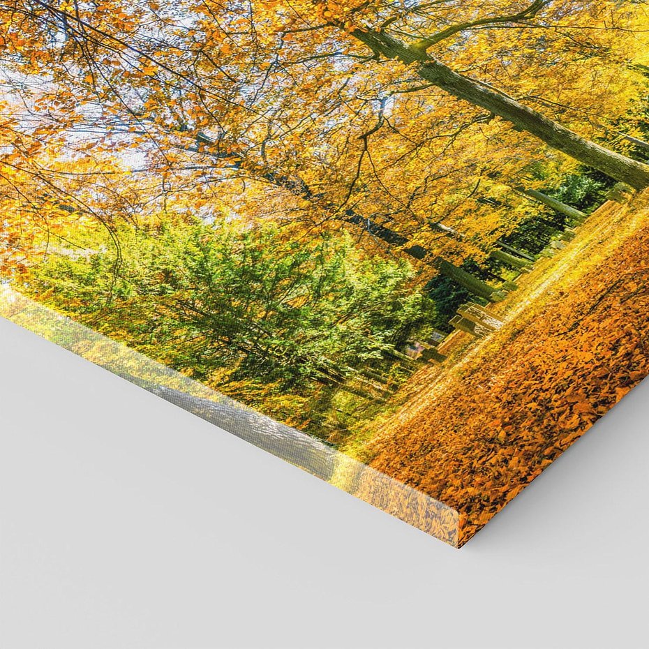 Obraz na płótnie 120x60 - Jesień w Lesie: Urok Lasu - jesień, las