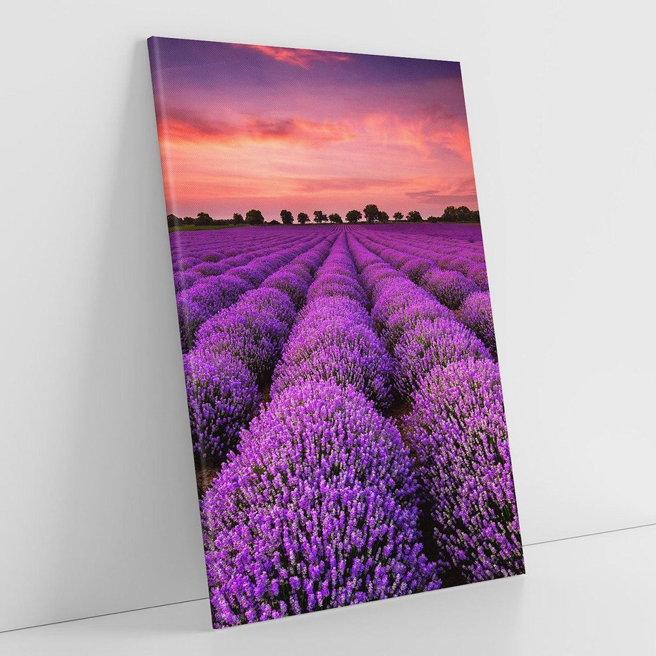 Obraz na płótnie 80x120 - Lawenda: polne zauroczenie - lawenda, kwiaty