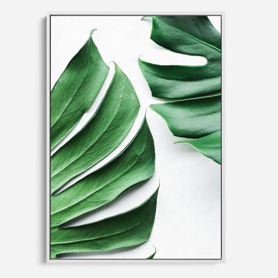 Obraz w ramie 70x100 - Monstera - Liście Kwiaty - monstera, liście - rama biała