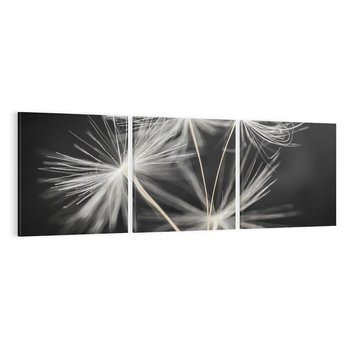 Obraz na płótnie 90x30 - Delikatność dmuchawców zbliżenie - dmuchawce, zbliżenie