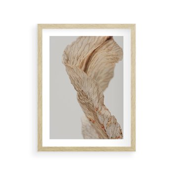 Plakat w ramie 40x50 - Suszone piękno - susz, suche - rama drewno