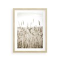 Plakat w ramie 30x40 - Nostalgiczny Pejzaż - suche trawy, pole - rama drewno