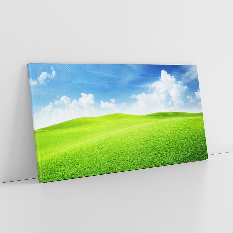 Obraz na płótnie 120x60 - Łąka pod Niebem - łąka, niebo