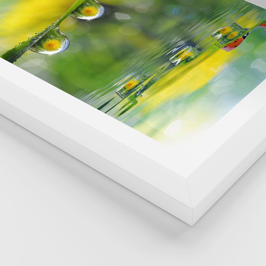 Plakat w ramie 30x40 - Deszczowa Biedronka - biedronka, deszcz - rama biała