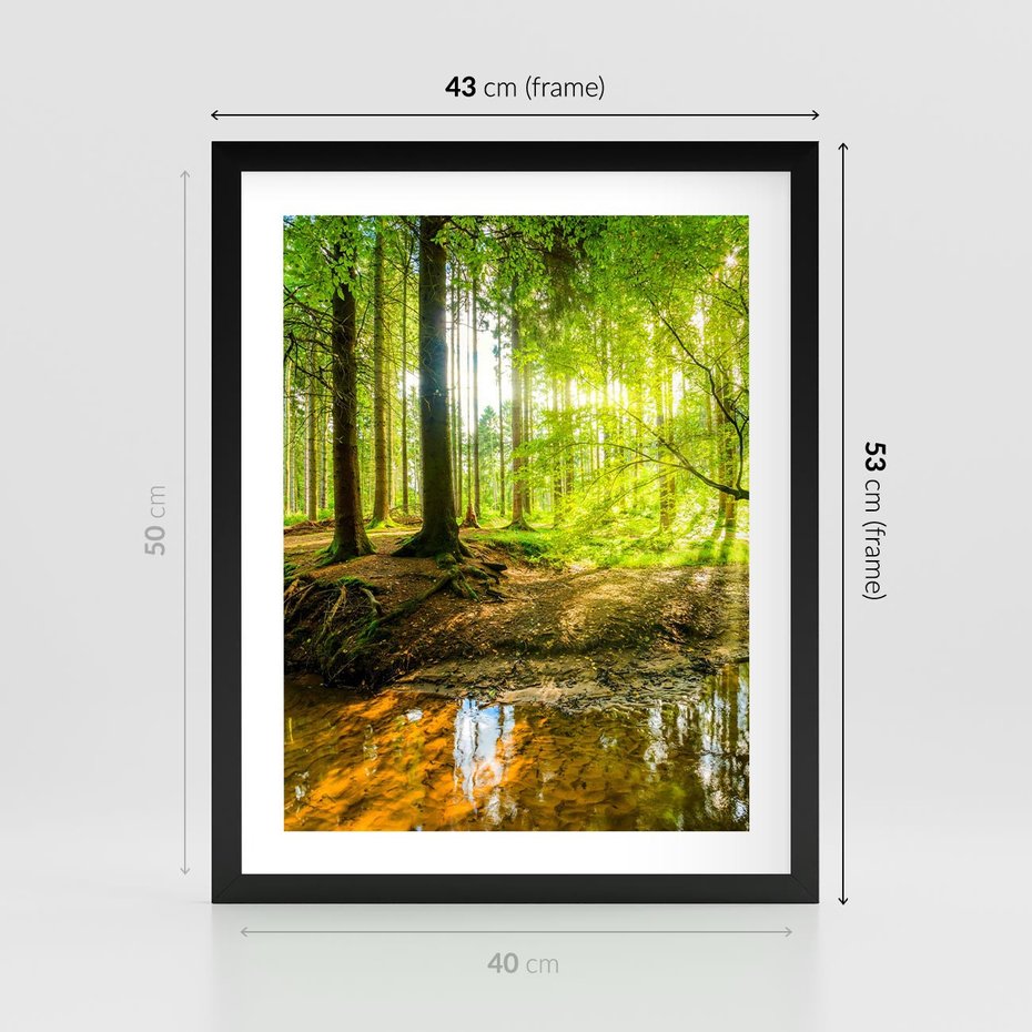 Plakat w ramie 40x50 - Las nad Wodą - las, woda - rama czarna