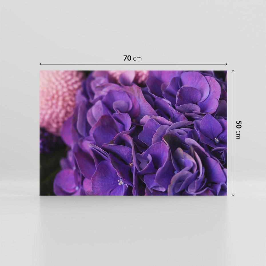 Obraz na płótnie 70x50 - Fioletowa hortensja - kwiaty, hortensja