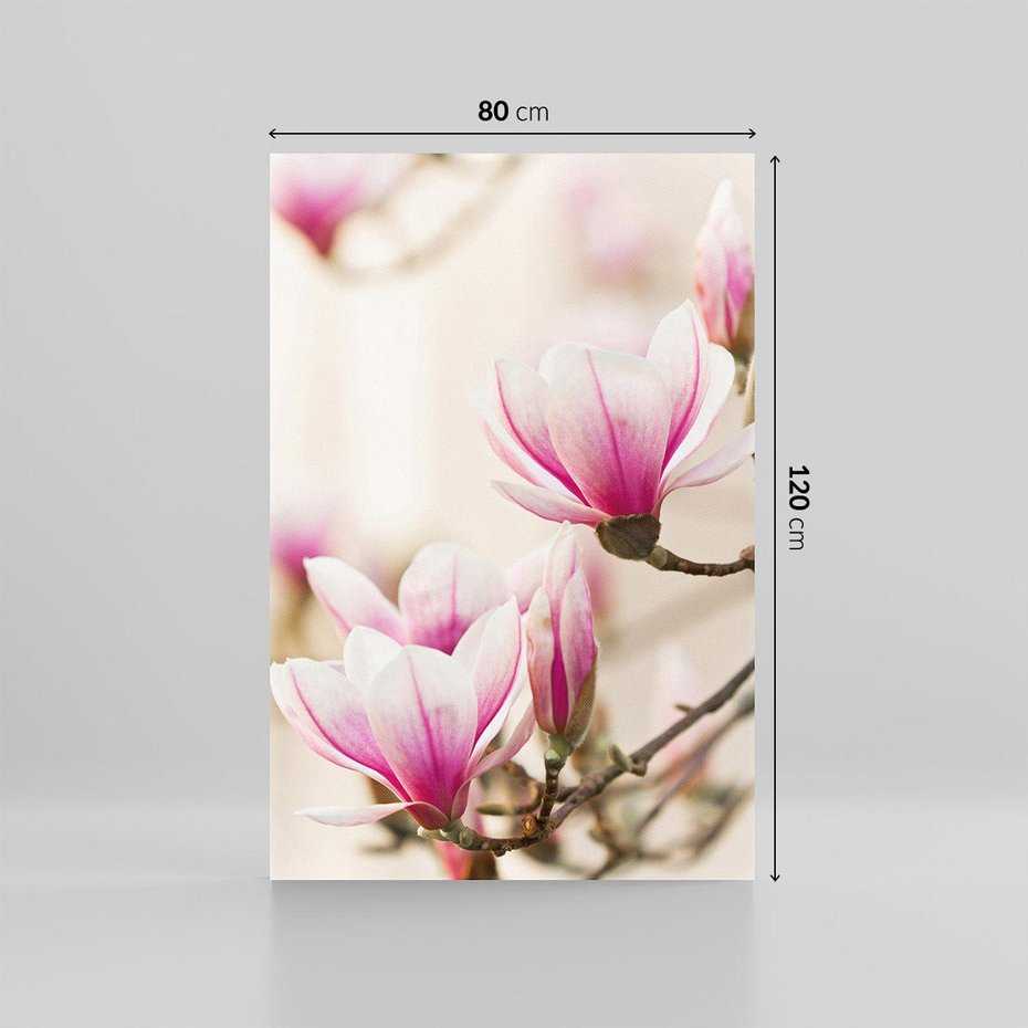 Obraz na płótnie 80x120 - Urok Magnolii - magnolie, kwiaty