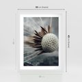 Plakat w ramie 30x40 - Makro Dmuchawiec - dmuchawiec, zbliżenie - rama biała