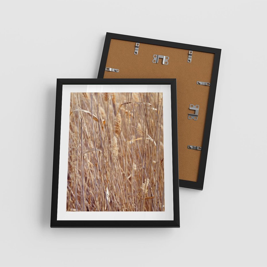 Plakat w ramie 40x50 - Mistrzowskie suche trawy - suche, trawy - rama czarna