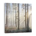 Obraz na płótnie 60x60 - Magiczne zaklęcie: Las pełen drzew - las, drzewa