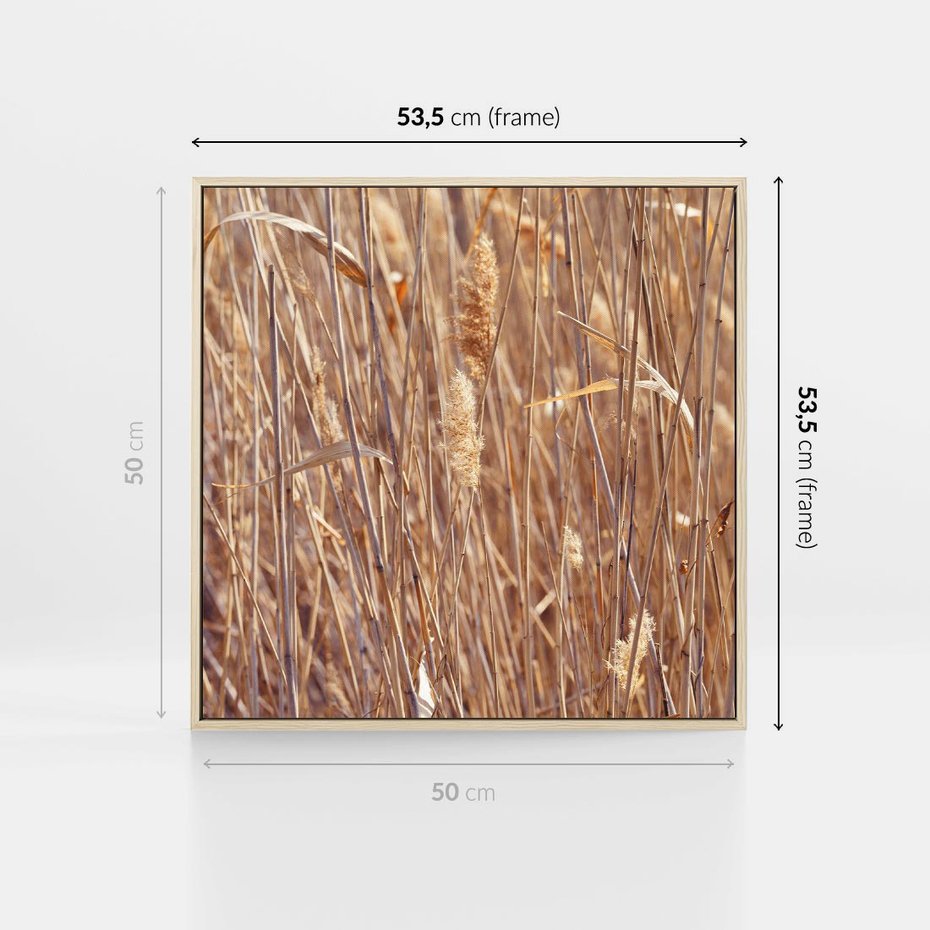 Obraz w ramie 50x50 - Mistrzowskie suche trawy - suche, trawy - rama drewno