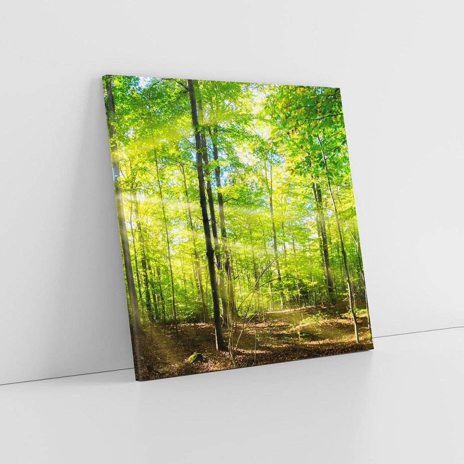 Obraz na płótnie 60x60 - Drzewa w harmonii - las, drzewa